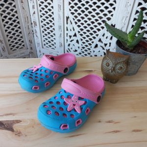 Blue and Pink Clogs
