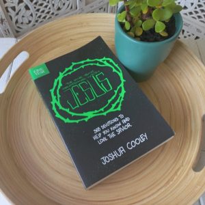 The One Year Devotions with Jesus