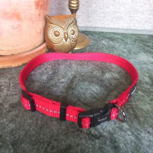 Adjustable Red Dog's Collar