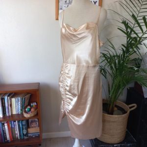 Pink Roughed Dress with Cowl Neck | Large