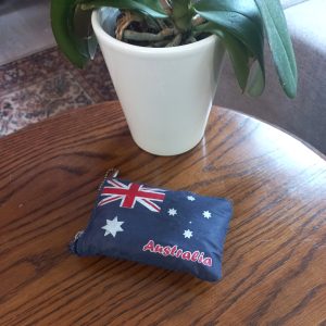 Foldable Shopping Bag