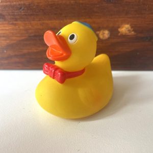 Duck Toy