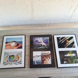 3 x Ladybug Photo Art Pieces