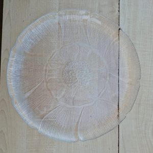 Glass Platter Plate