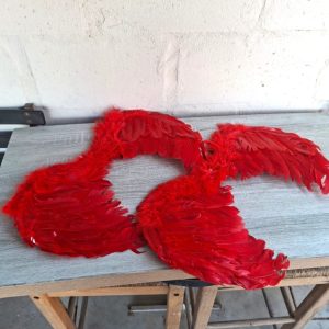 2 x Red Feather Wings