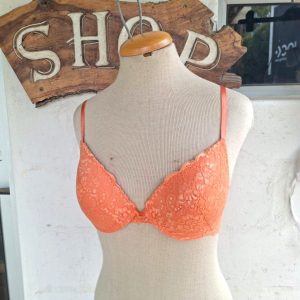 Coral Padded Bra | 36C