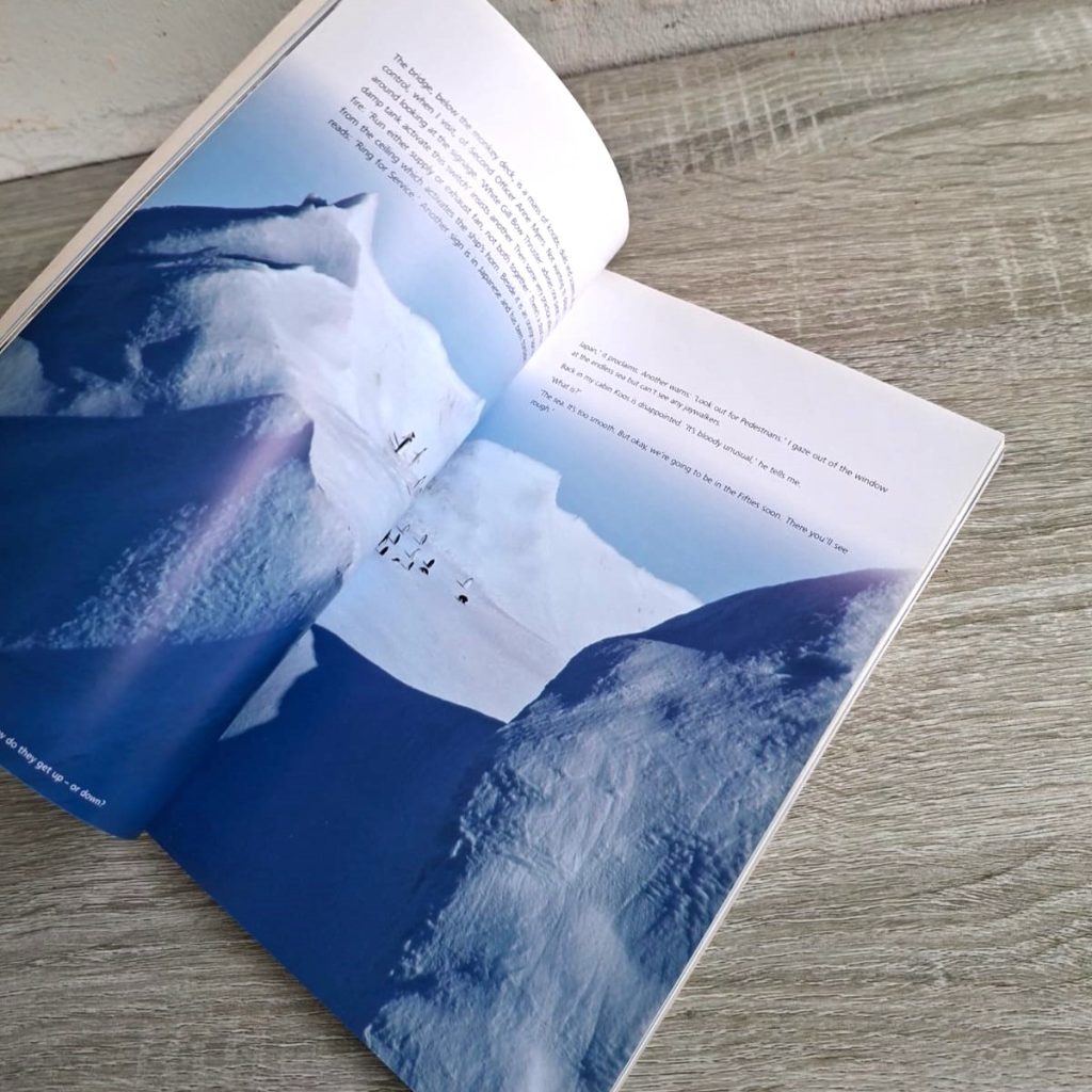 Blue Ice | Don Pinnock - Image 2