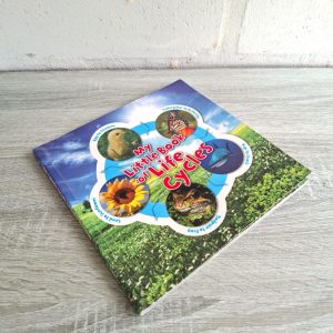 My Little Book of Life Cycles | Camilla de la Bedoyere