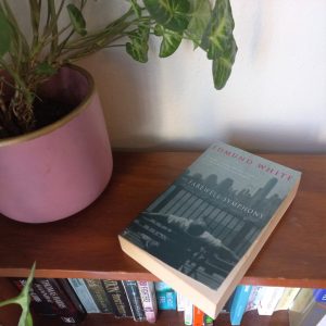 The Farewell Symphony | Edmund White