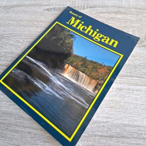Beauty of Michigan